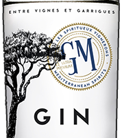 GM-GIN