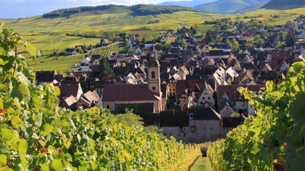 famille hugel viticole alsace